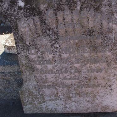 NOVELLA D.M. 1892-1937