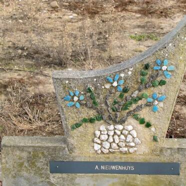 NIEUWENHUYS A.