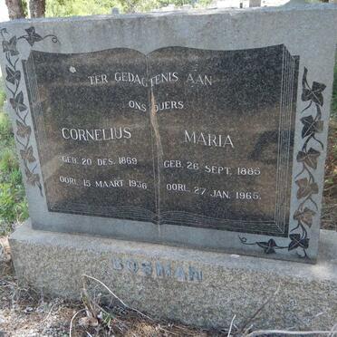 BOSMAN Cornelius 1869-1936 &amp; Maria 1885-1965
