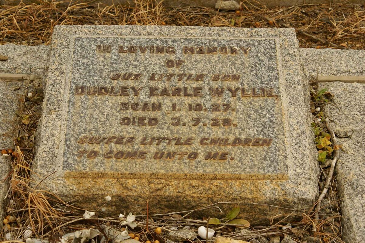 WYLLIE Dudley Earle 1927-1928