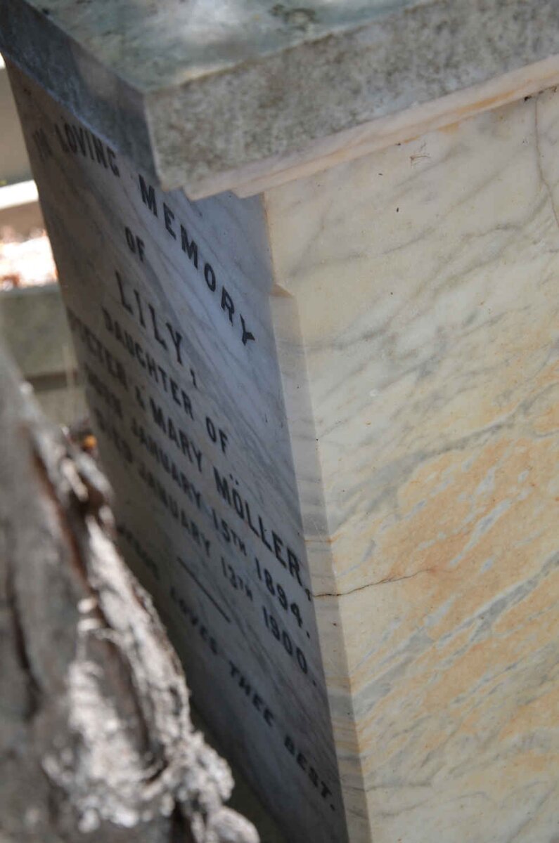 MÖLLER Lily 1894-1900