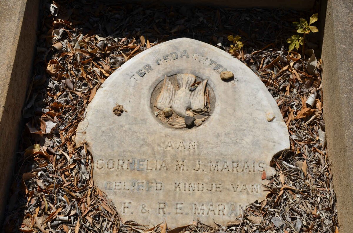 MARAIS Cornelia M.J.