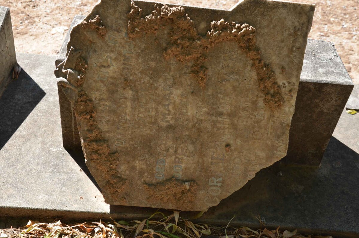 VENTER Willie, van de :: VAN DE VENTER Corrie 192?-19?8