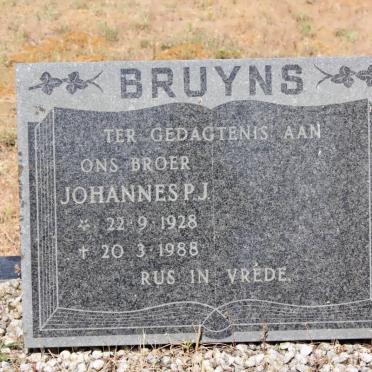 BRUYNS Johannes P.J. 1928-1988