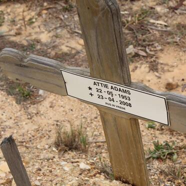 ADAMS Attie 1953-2008