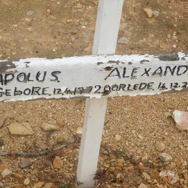 ALEXANDER Apolus 1972-2002