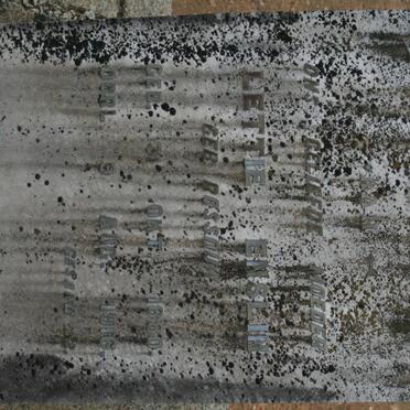 ENSLIN Lettie nee ROSSOUW 1880-1916