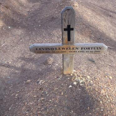 FORTUIN Levino Lewelen 2001-2006