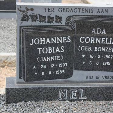 Ne - Surnames starting with the letters Ne