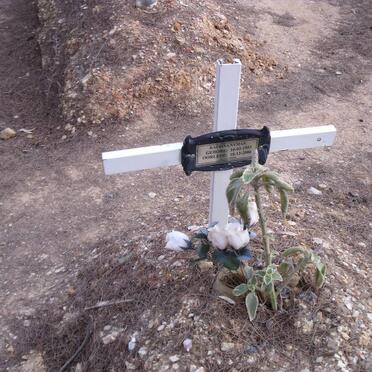 NYMAN Katrina 1953-2006