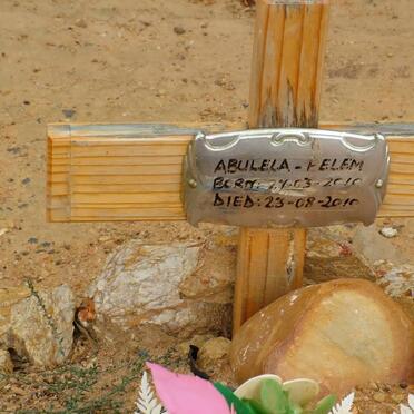 PELEM Abulela 2010-2010