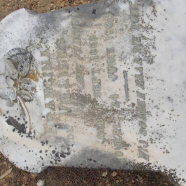 VILLIERS Francina, de nee FAASEN 1868-1925