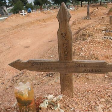 ? IS?  Rosetta 1933-2006