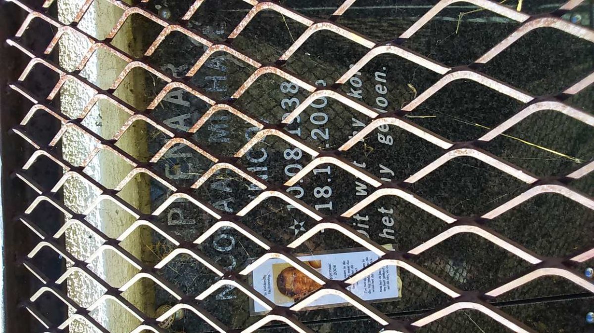 DIPPENAAR Nicolaas Michael 1938-2006