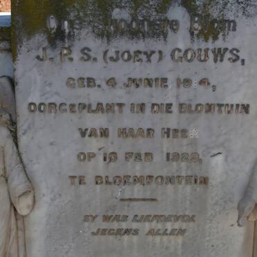 GOUWS J.P.S. 1914-1929