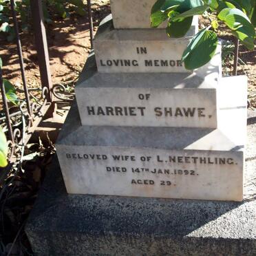 NEETHLING Harriet Shawe -1892