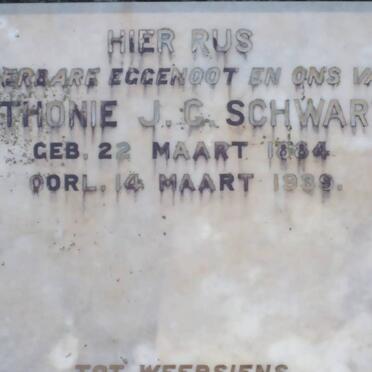 SCHWARTZ Anthonie J.C. 1885-1939