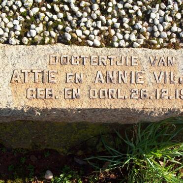 VILJOEN dogtertjie 1951-1951