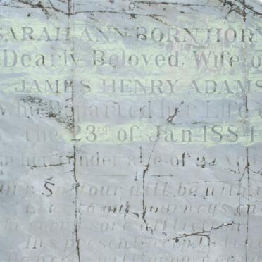 ADAMS Sarah-Ann nee HORNE -1884