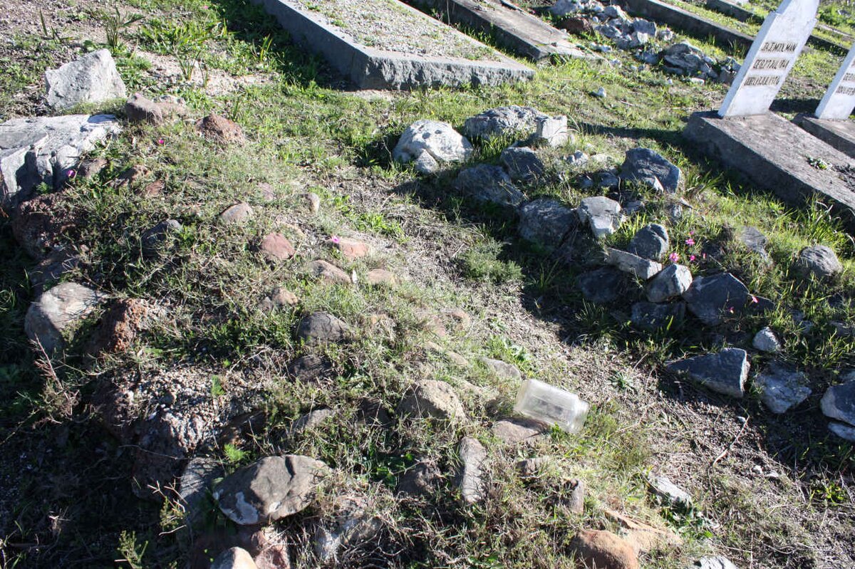 5. Ongemerkte Grafte