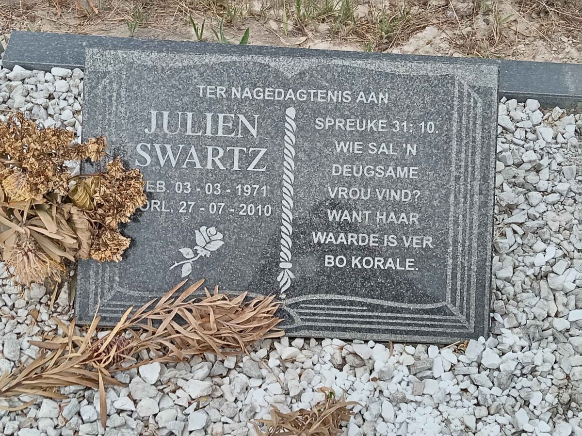SWARTZ Julien 1971-2010