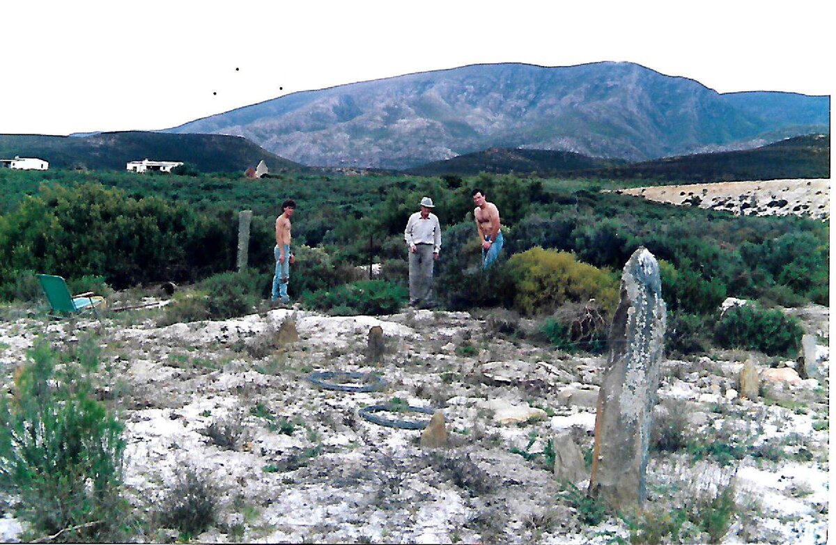1. Oorsig WESSELS grafte Phizantefontein, Riversdal, 1988