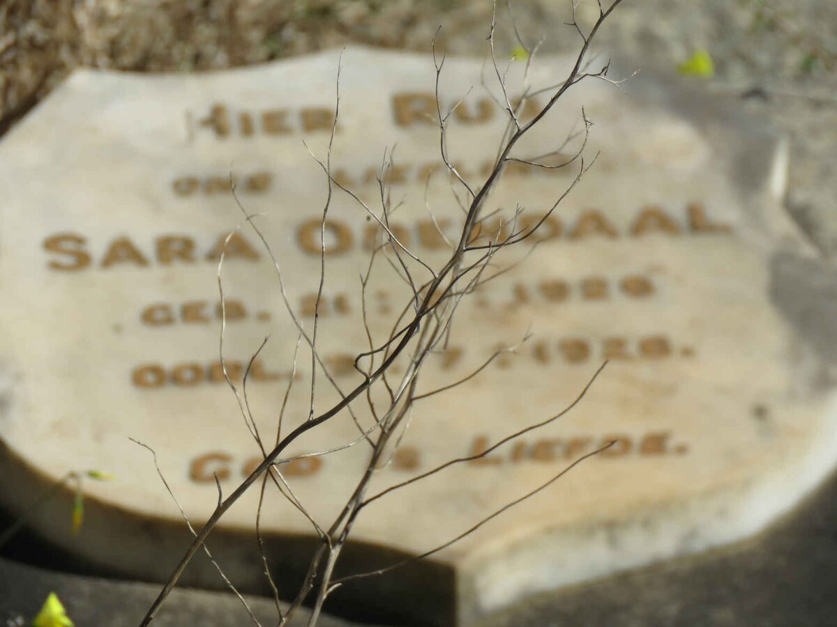 ODENDAAL Sara 1926-1926