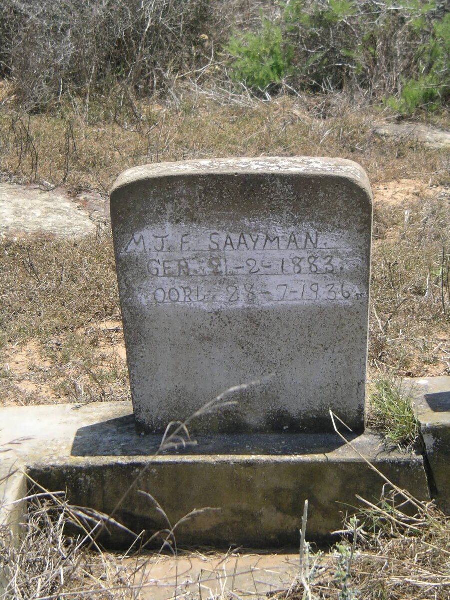 SAAYMAN M.J.F. 1883-1936