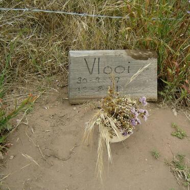 ? Vlooi 1999-