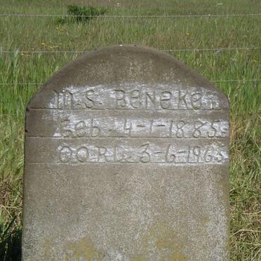 BENEKES M.S. 1885-1965