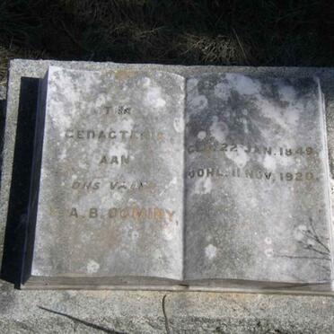 DUMINY A.B. 1849-1920