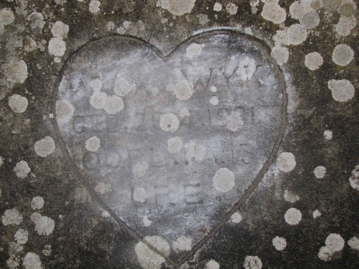 WYK W.A., van 1931-1931