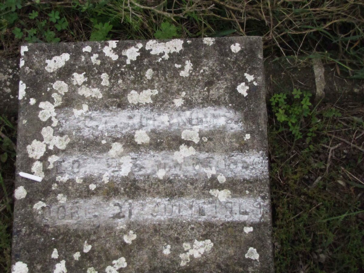 KLEYNHANS C.T. 1880-1949