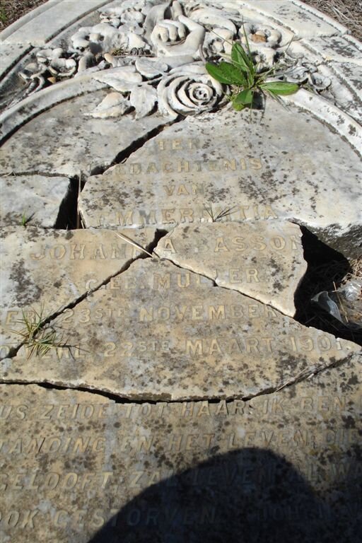 BASSON Emmerentia Johanna geb. MULLER  -1901