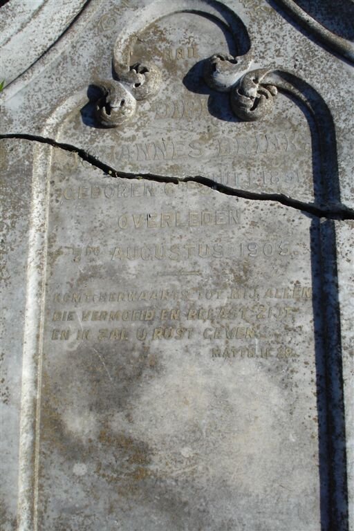 Brink Johannes 1851-1905