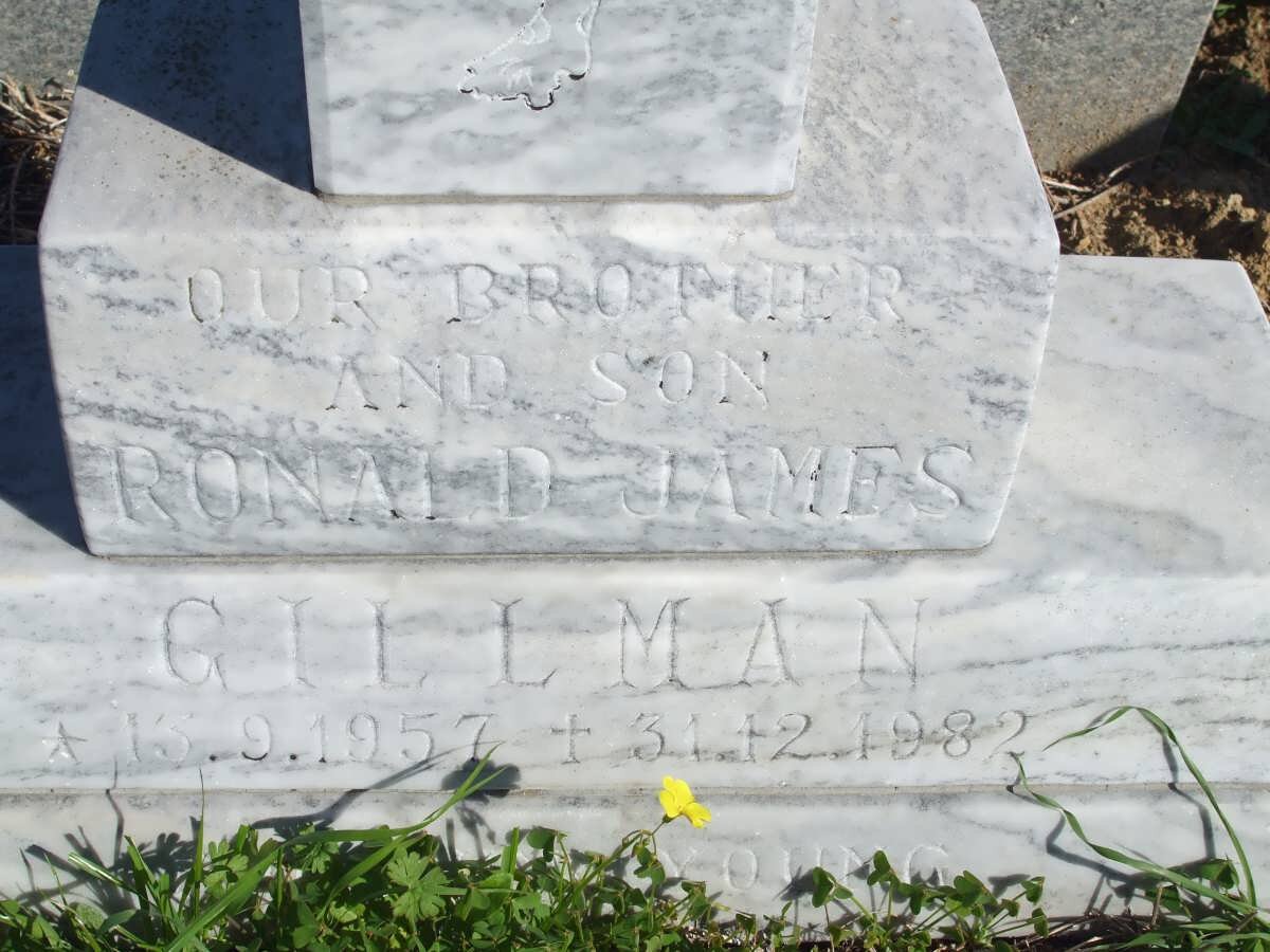 GILLMAN Ronald James 1957-1982