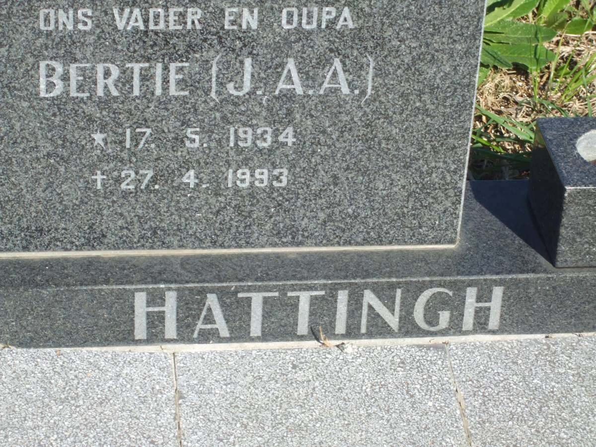 HATTINGH J.A.A. 1934-1993
