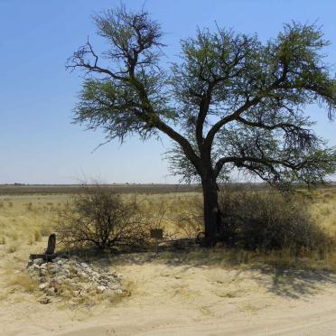 1. Overview / Oorsig