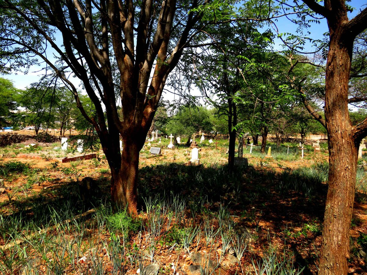 5. Overview / Oorsig