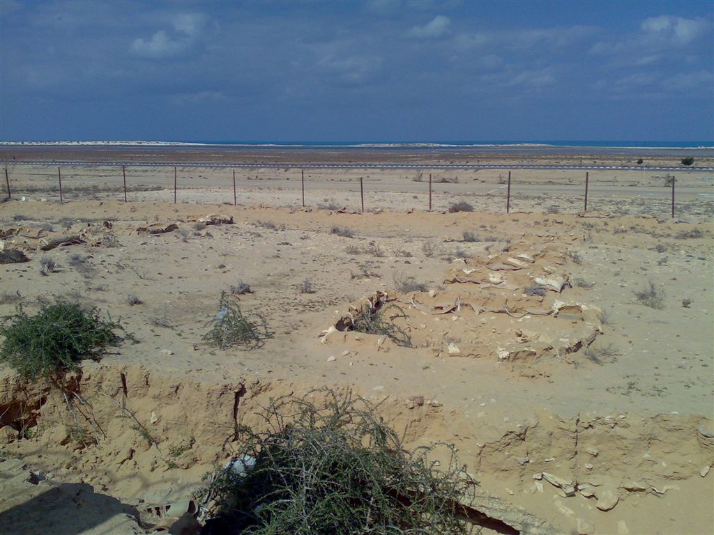 13. A picture of some of the actual trenches and defensive positions which still remain in the area