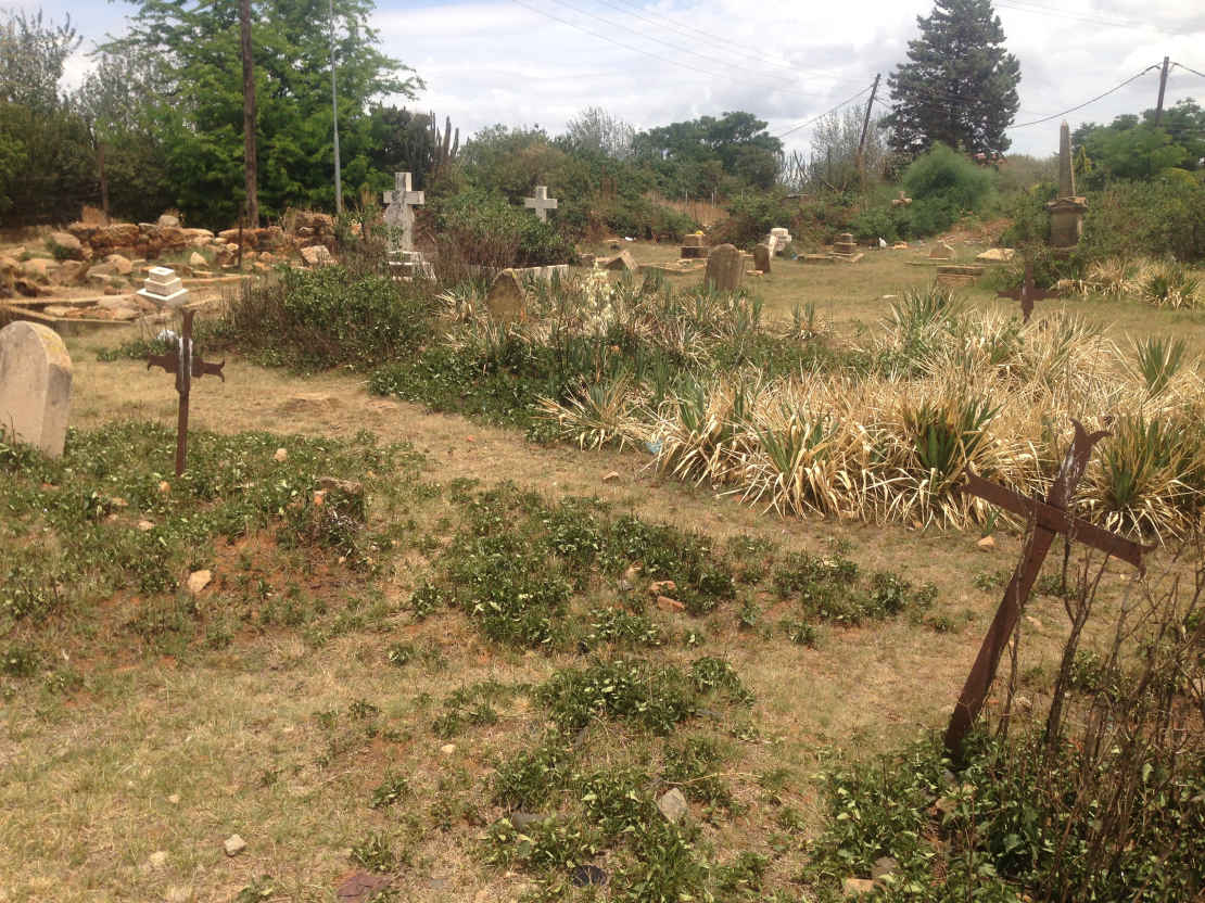 3. Overview / Oorsig