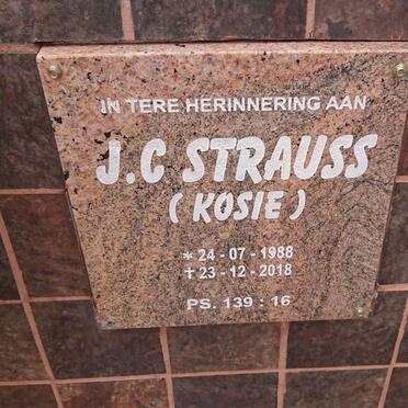 STRAUSS J.C. 1988-2018