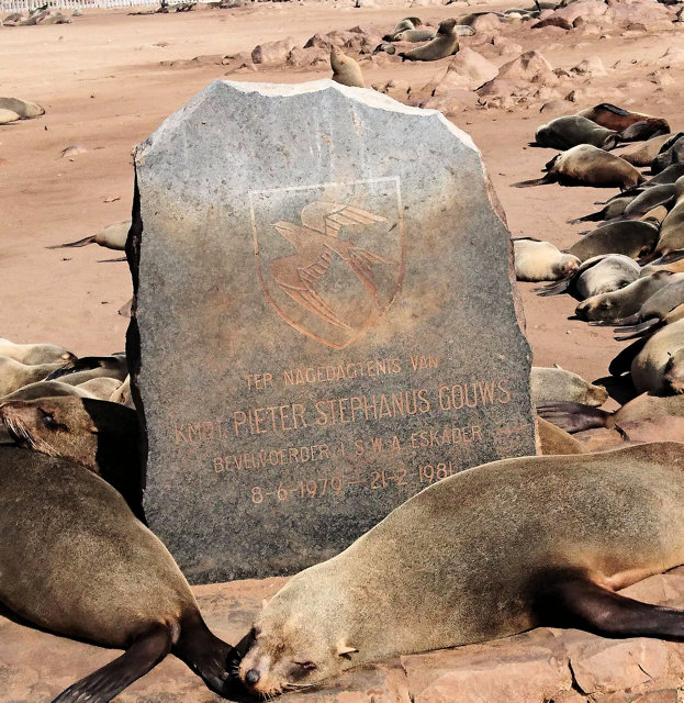 GOUWS Pieter Stephanus