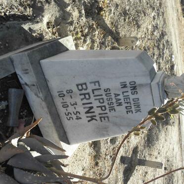 BRINK Flippie 1954-1955