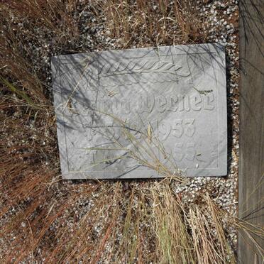 WERNER Regina 1953-1955