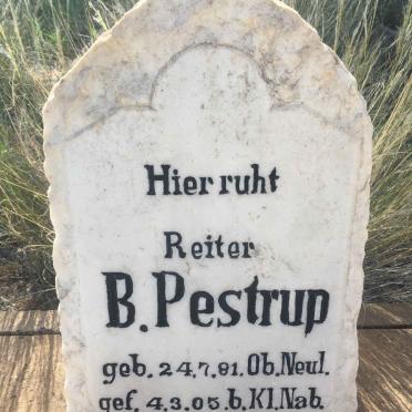 PESTRUP B. 1881-1905