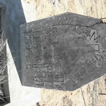 MALLET Willem J. 1977-1977