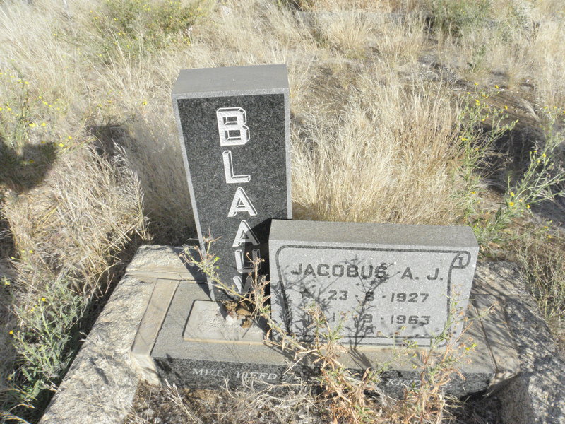 BLAAUW Jacobus A.J. 1927-1963