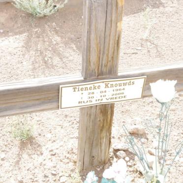 KNOUWDS Tieneke 1964-2006