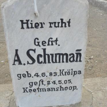 SCHUMAN A. 1883-1905